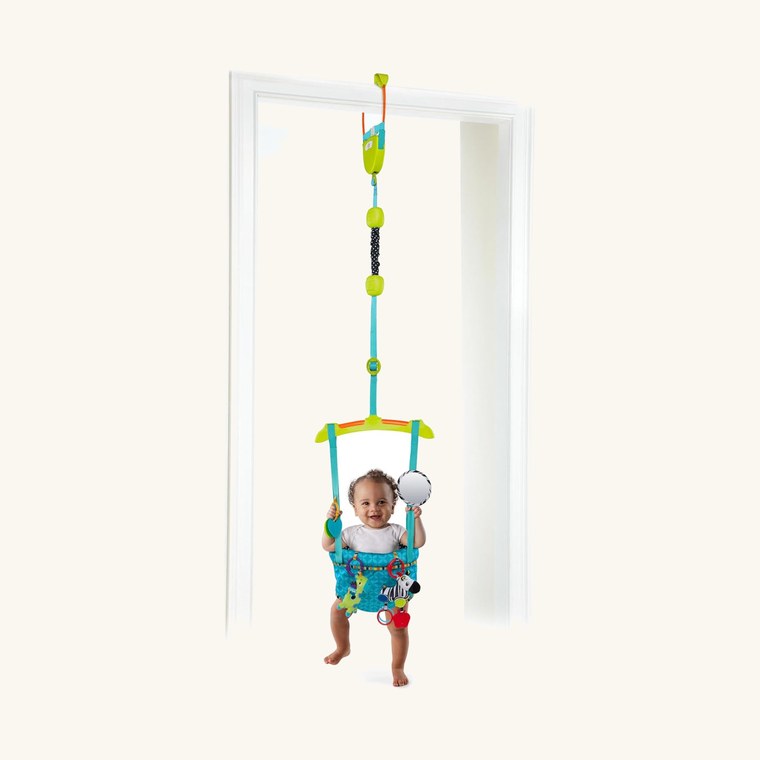 Bright Starts Bounce 'n Spring Door Jumper