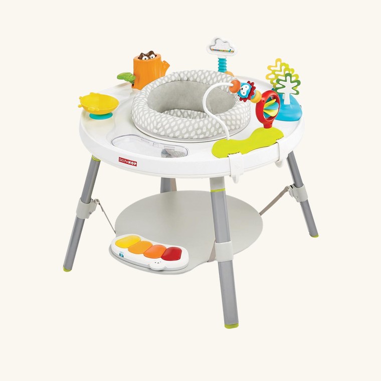 Skip Hop Explore & More Activity Center
