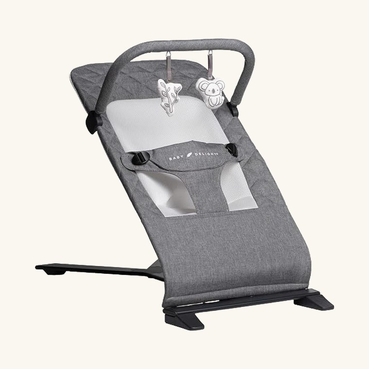 Baby Delight Alpine Deluxe Portable Bouncer