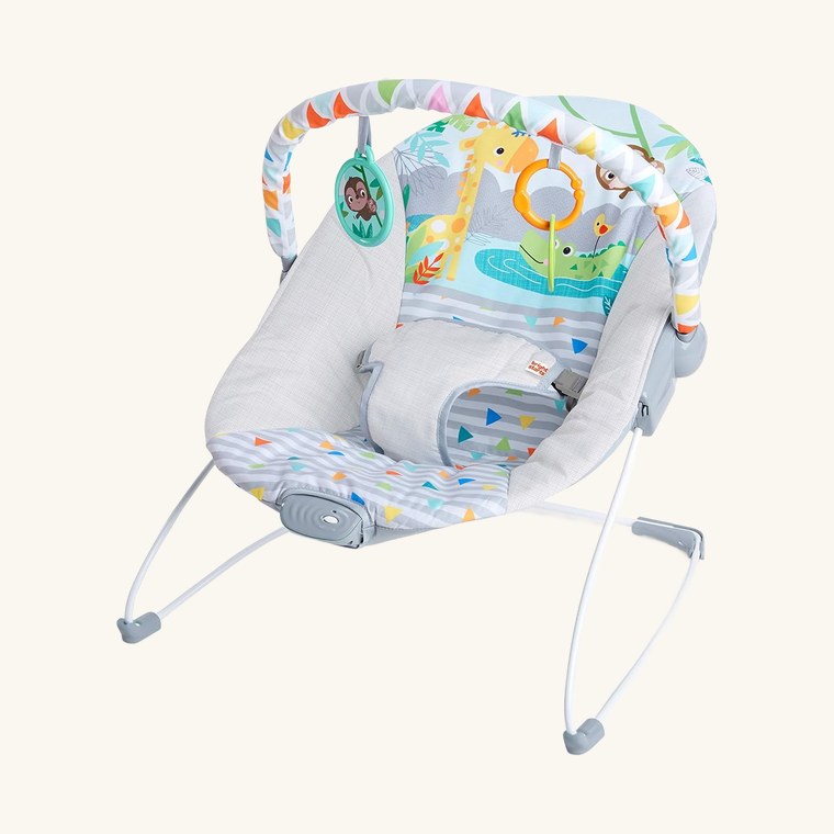 Bright Starts Safari Fun Bouncer