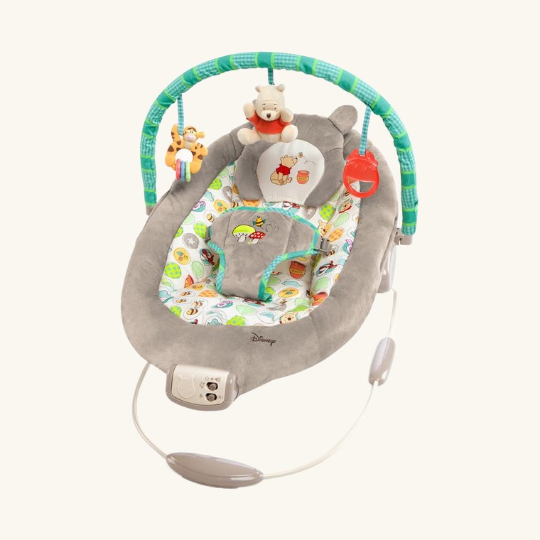 Bright Starts Winnie the Pooh Bouncer