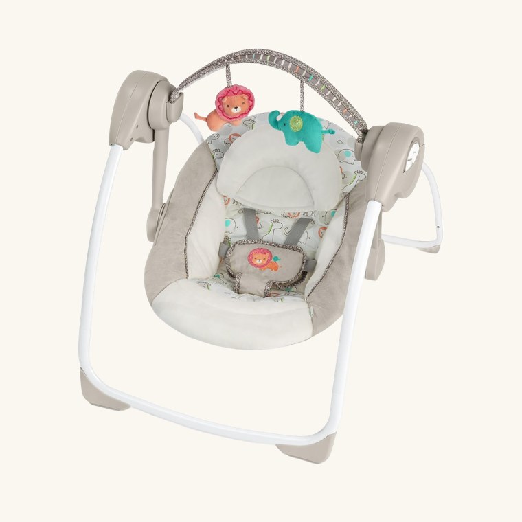 Ingenuity Soothe 'n Delight Swing